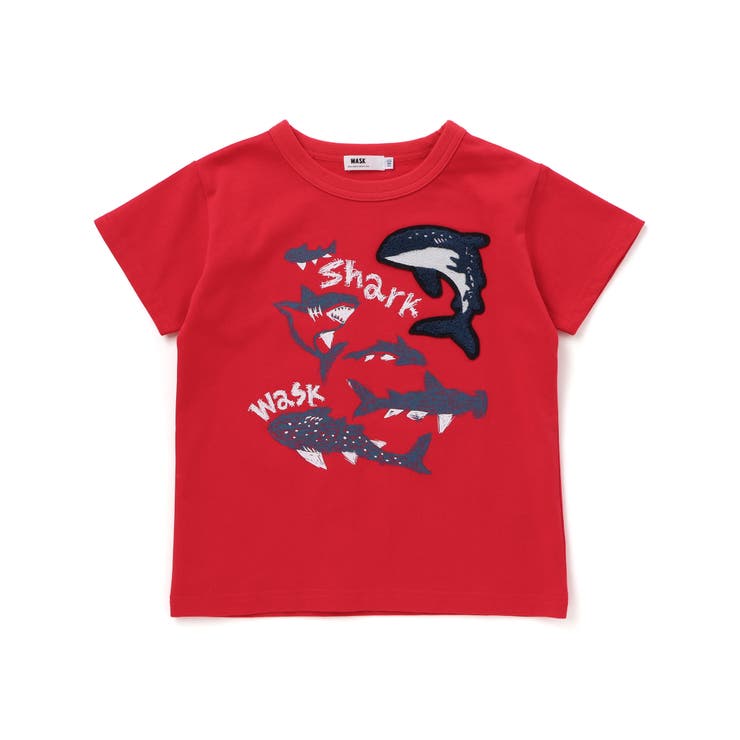 【接触冷感】WASKシャークTシャツ(100~160cm) | WASK | 詳細画像8 