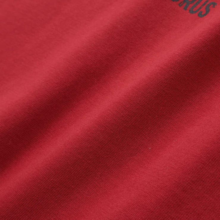 恐竜コード刺しゅうロゴTシャツ(80~140cm) | WASK | 詳細画像17 