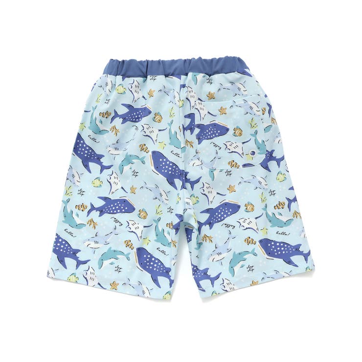 【お揃い】はたらくくるまうみのいきものフルーツ総柄パンツ型スイムウェア(90~1… | SLAP SLIP | 詳細画像12 