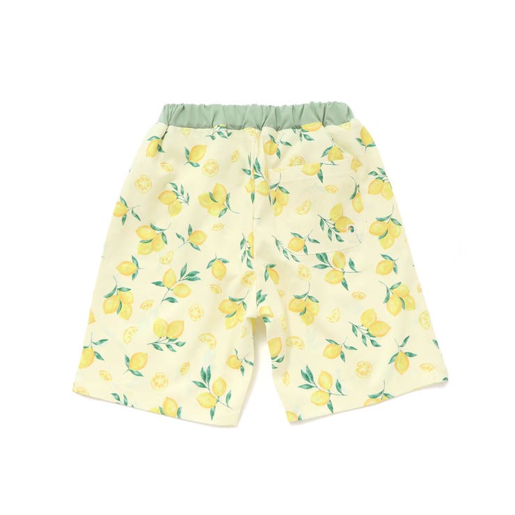 【お揃い】はたらくくるまうみのいきものフルーツ総柄パンツ型スイムウェア(90~1… | SLAP SLIP | 詳細画像20 