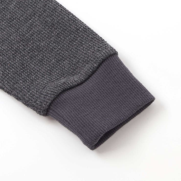 恐竜サガラ刺しゅうワッフルTシャツ(80~130cm) | SLAP SLIP | 詳細画像13 