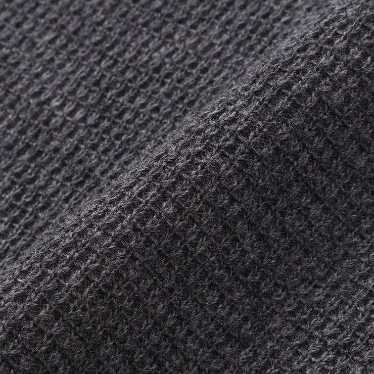 恐竜サガラ刺しゅうワッフルTシャツ(80~130cm) | SLAP SLIP | 詳細画像15 