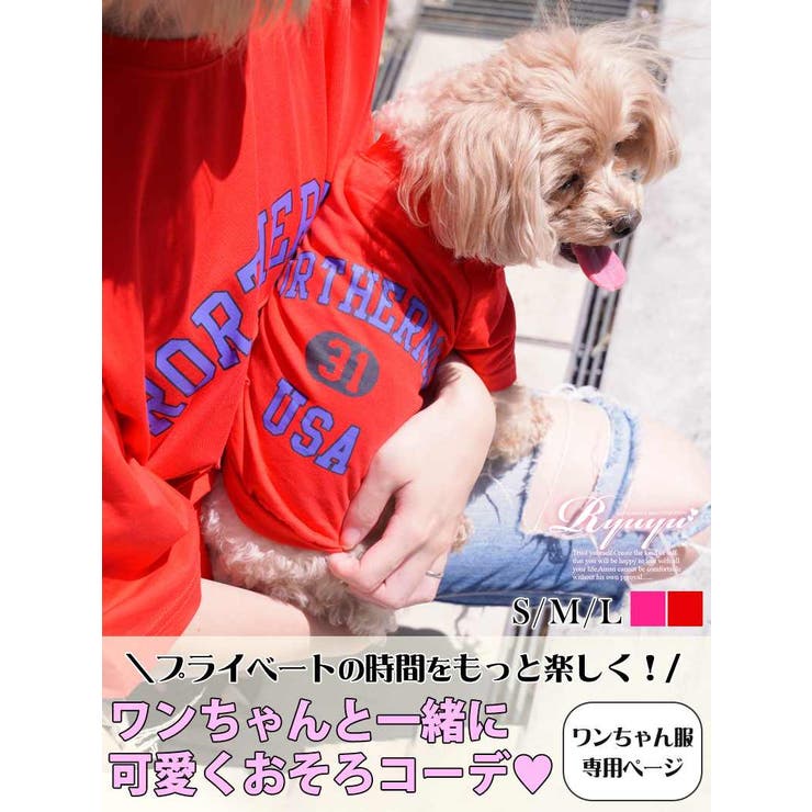 犬服総レース生地のバルーンワンピース袖付き