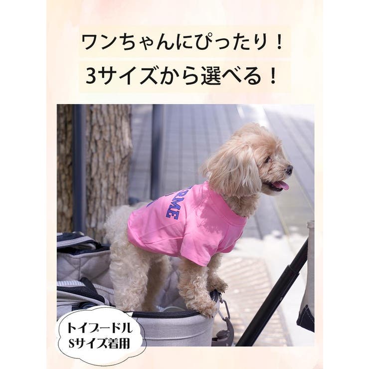 犬服 犬服 ドッグウェア | Ryuyu | 詳細画像3 