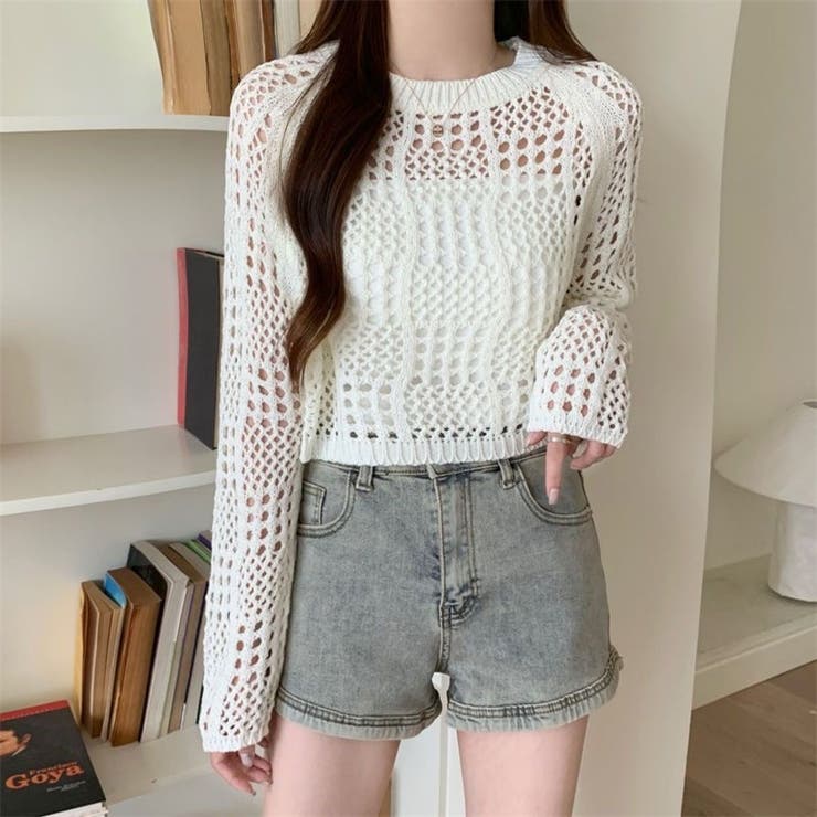 クロシェ風 メッシュ かぎ編み ニット トップス ショート丈 長袖 透け感 | Beststore | 詳細画像3 