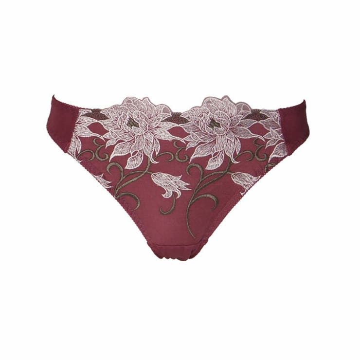 Tバックショーツ 美胸 脇寄せ | 神戸発ランジェリーショップ bon-KOBE  | 詳細画像3 