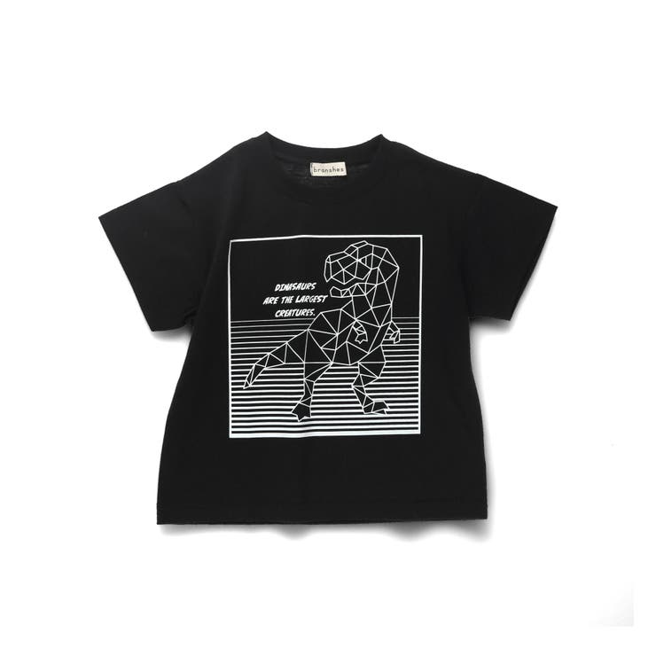 【プチプラ】恐竜プリント半袖Tシャツ | ブランシェス | 詳細画像49 