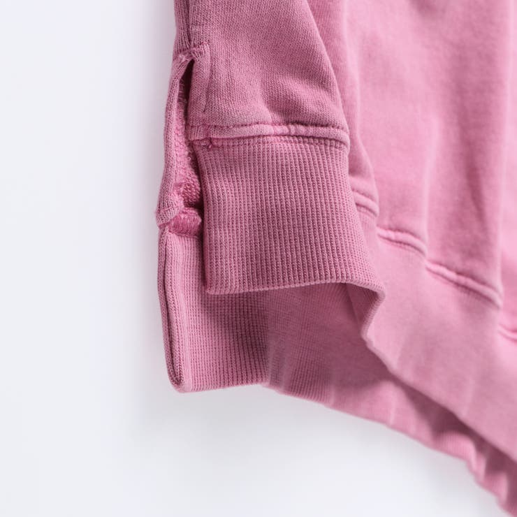 HARU COLOR ピグメント | ブランシェス | 詳細画像13 