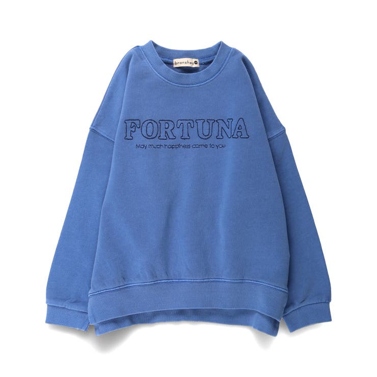 HARU COLOR ピグメント | ブランシェス | 詳細画像2 