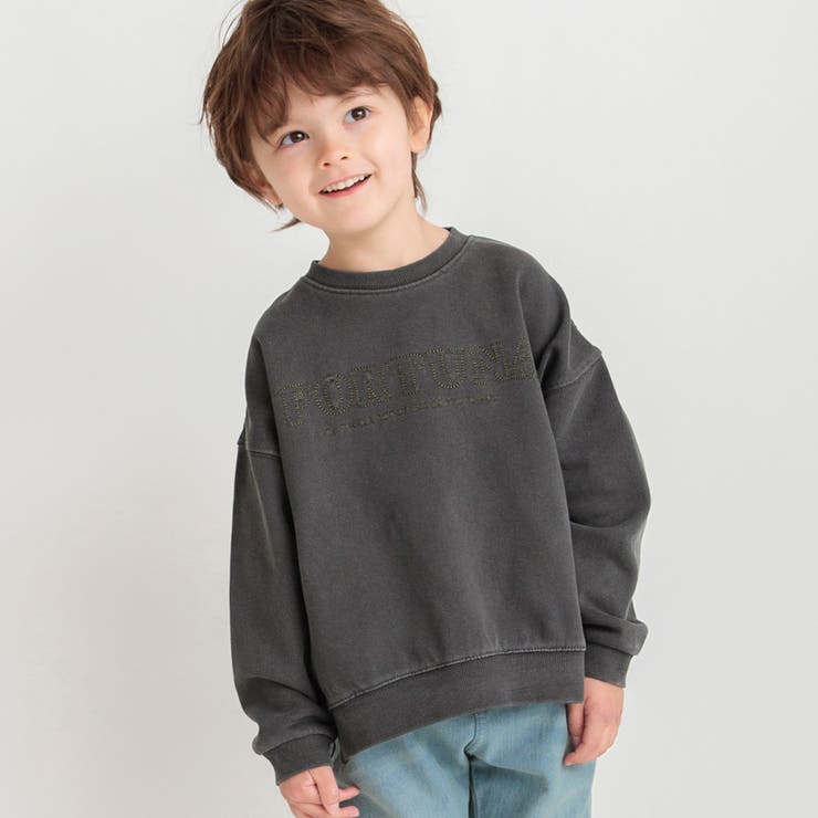 チャコールグレー | HARU COLOR ピグメント | ブランシェス