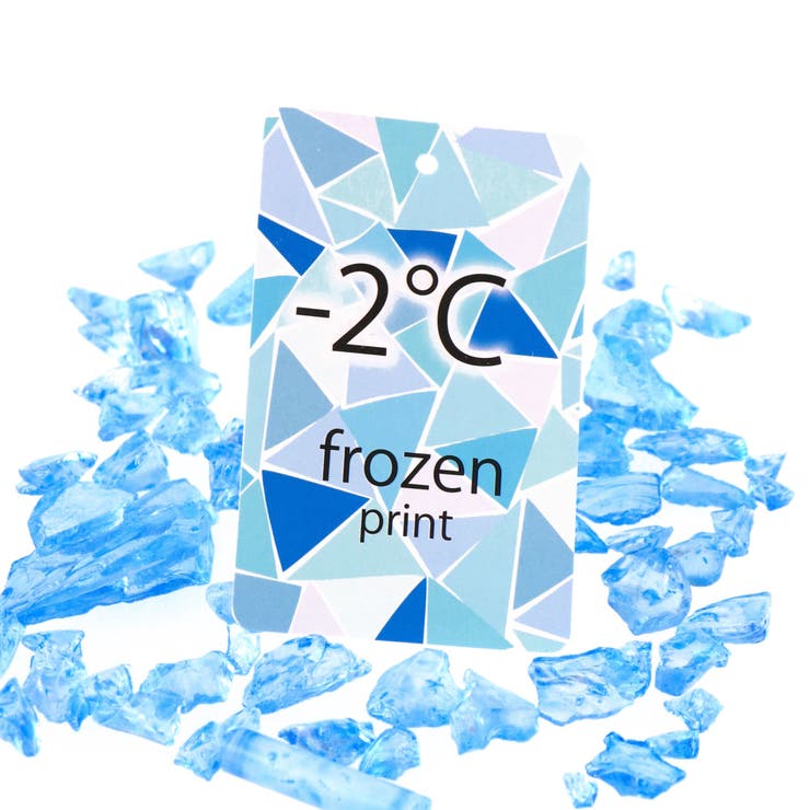 【フローズンプリント】ロゴTシャツ 子供服 キッズ | ブランシェス | 詳細画像10 