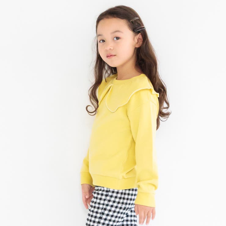 【DRC】襟付き裏毛トレーナー スゥエット | ブランシェス | 詳細画像5 