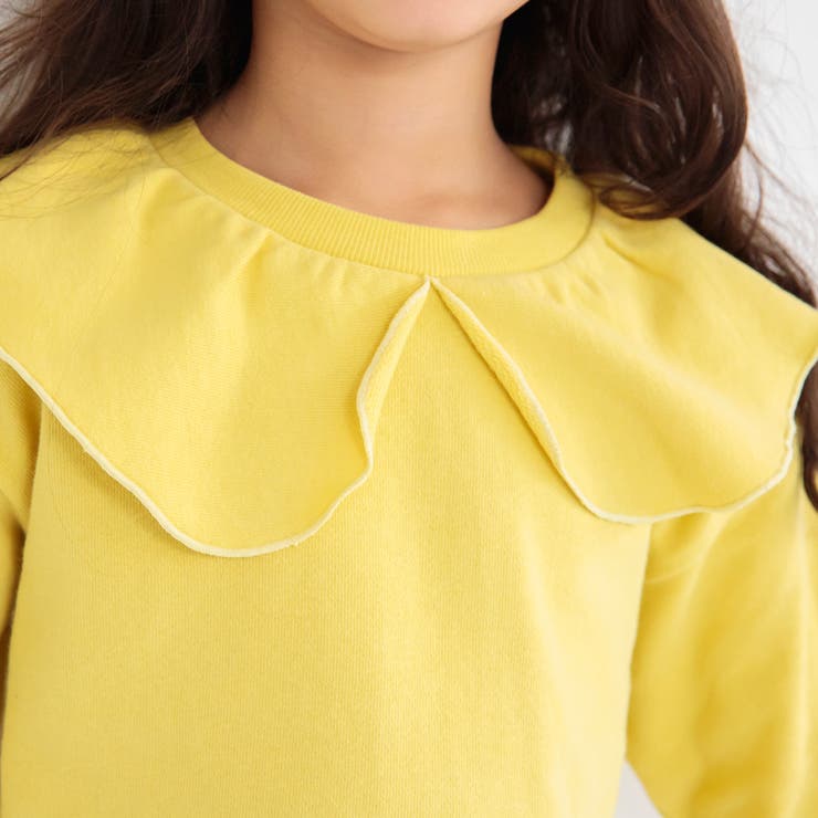 【DRC】襟付き裏毛トレーナー スゥエット | ブランシェス | 詳細画像6 