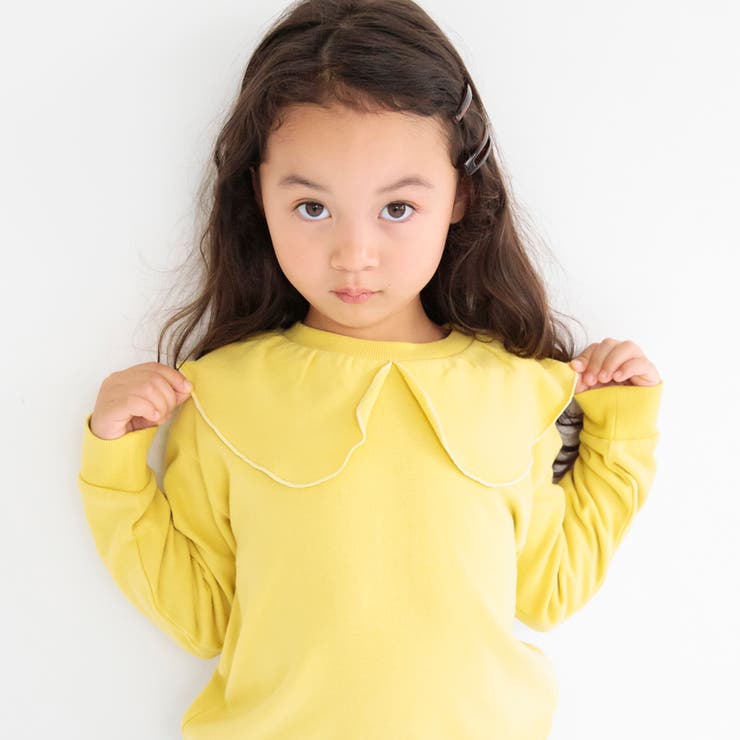 イエロー | 【DRC】襟付き裏毛トレーナー スゥエット | ブランシェス