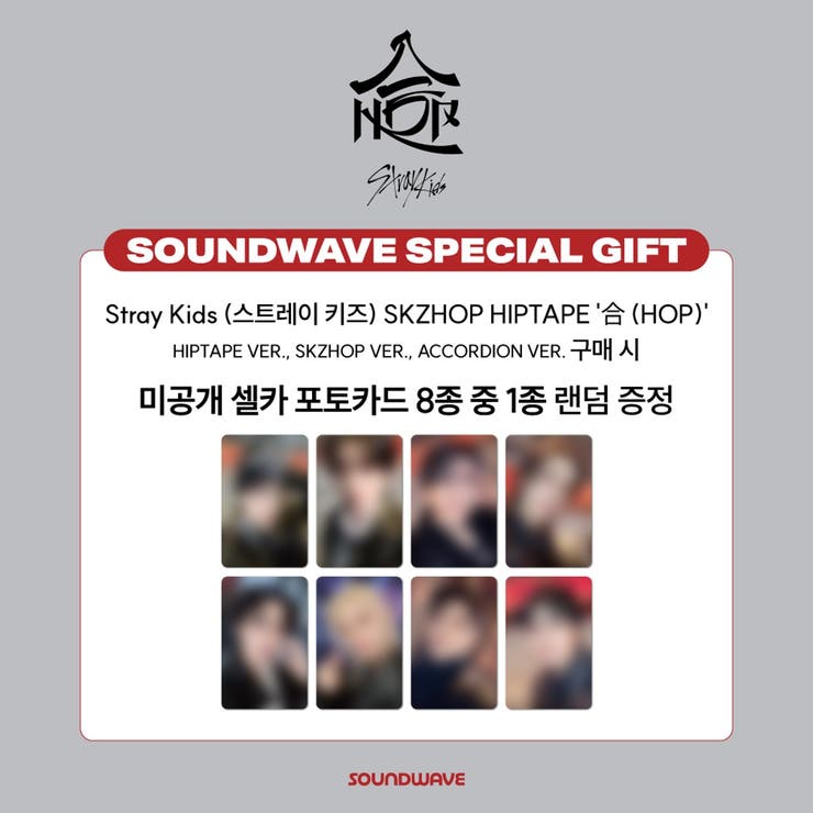 Stray Kids | BUSANDEPART | 詳細画像3 