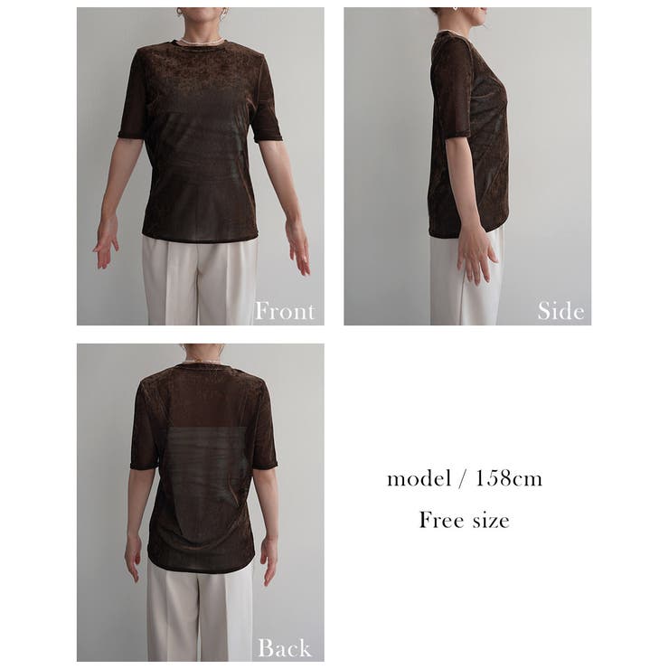 シアーベロアTシャツ Rashik カットソー | BUYSENSE | 詳細画像4 