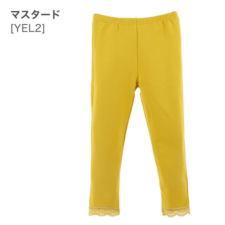 マスタード[YEL2]