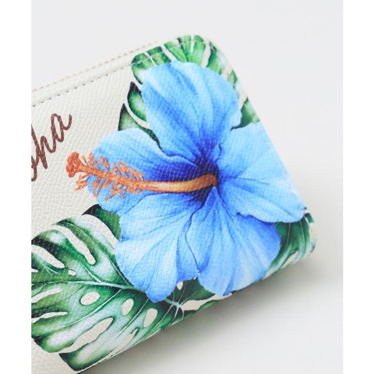 【カヒコ】アロアロミニウォレット | アミナコレクション  | 詳細画像2 