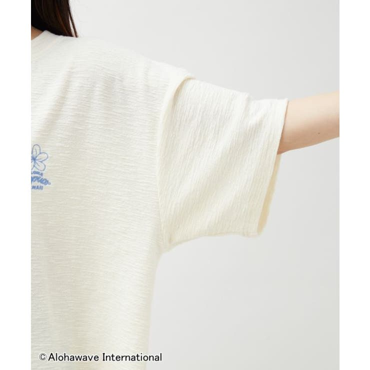 【カヒコ】クーオコアＴシャツ【ALOHA MAPUA】 | アミナコレクション  | 詳細画像10 