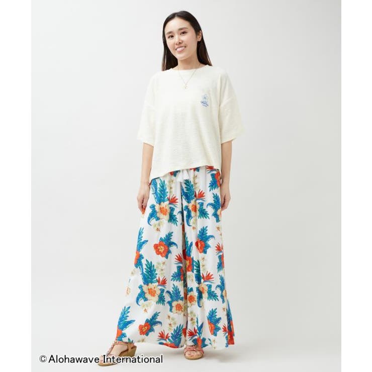 【カヒコ】クーオコアＴシャツ【ALOHA MAPUA】 | アミナコレクション  | 詳細画像4 