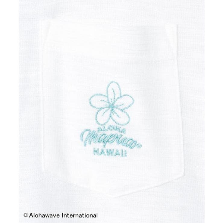 【カヒコ】クーオコアTシャツワンピース【ALOHA MAPUA】 | アミナコレクション  | 詳細画像27 