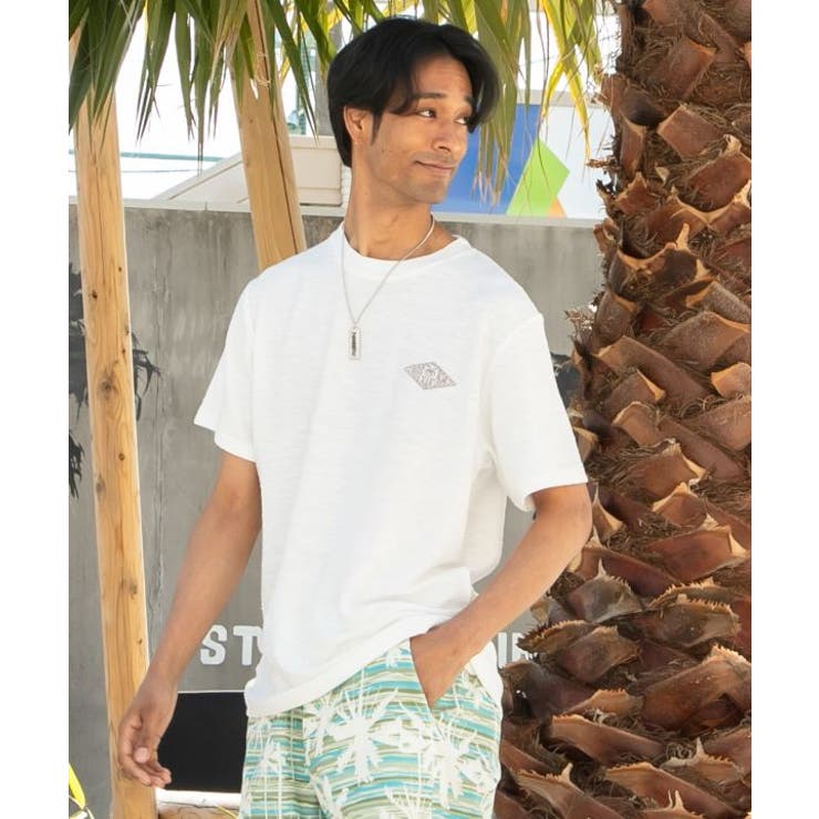【カヒコ】ビーチリーメンズＴシャツ【SURF&Palms】 | アミナコレクション  | 詳細画像2 