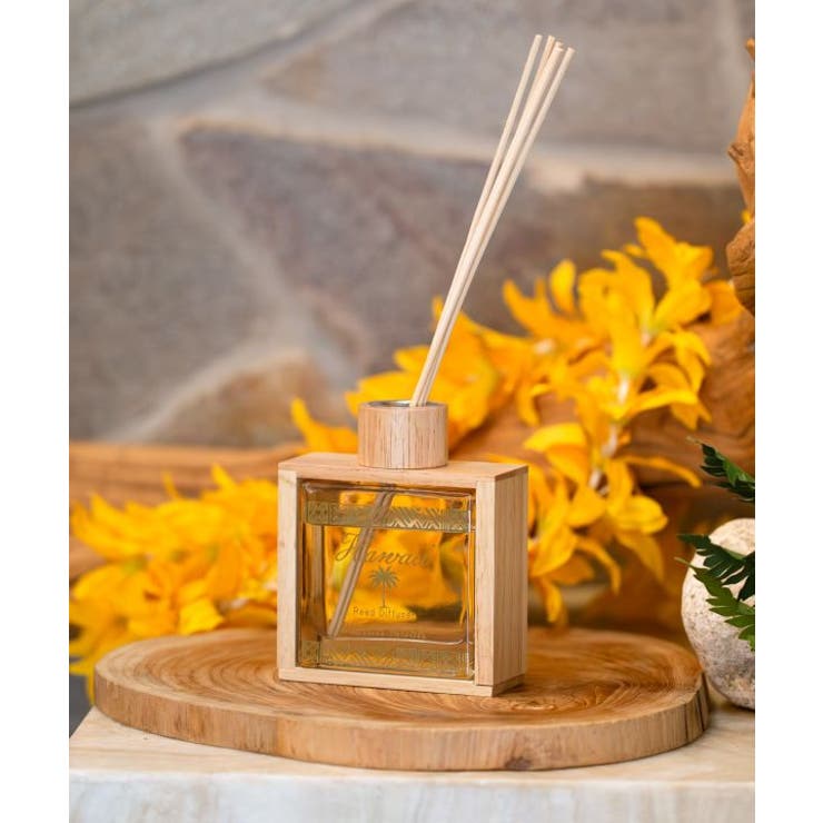 その他1 | 【カヒコ】ラーアウディフューザー | アミナコレクション 