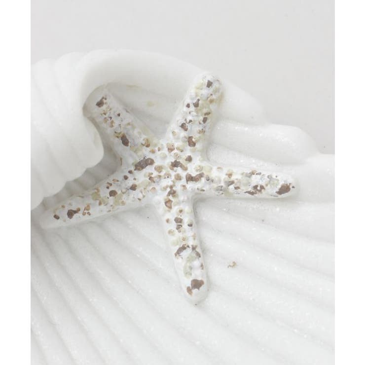 【カヒコ】モアナシェルトレイ | アミナコレクション  | 詳細画像3 