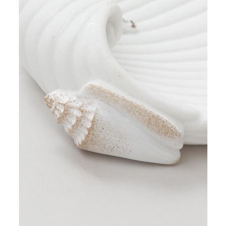 【カヒコ】モアナシェルトレイ | アミナコレクション  | 詳細画像4 