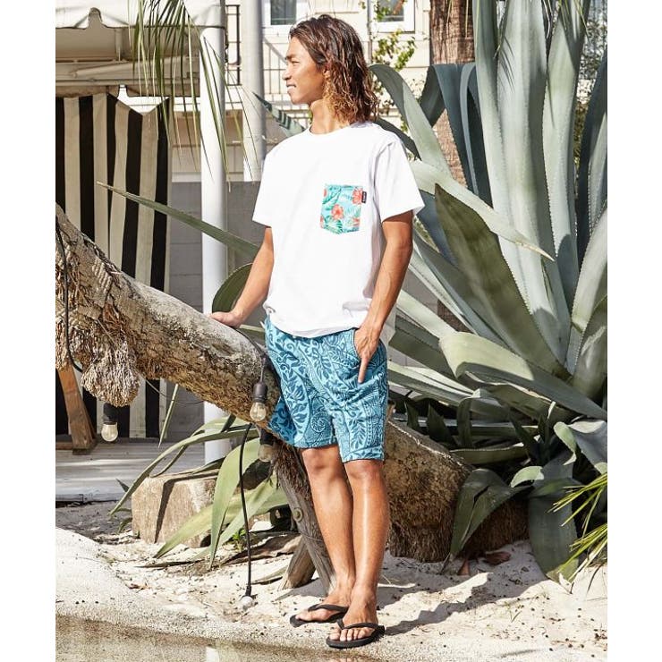 【カヒコ】ポケニカルメンズＴシャツ | アミナコレクション | 詳細画像2 