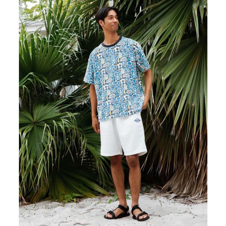 【カヒコ】ジェイメンズハーフパンツ【SURF&Palms】 | アミナコレクション  | 詳細画像2 