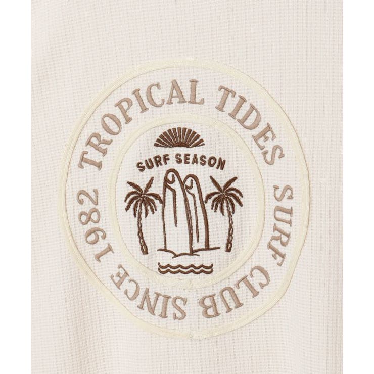 【カヒコ】ハエナメンズＴシャツ【SURF&Palms】 | アミナコレクション  | 詳細画像28 