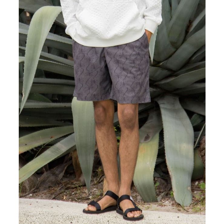 【カヒコ】アンダーセンメンズハーフパンツ【SURF&Palms】 | アミナコレクション | 詳細画像3 