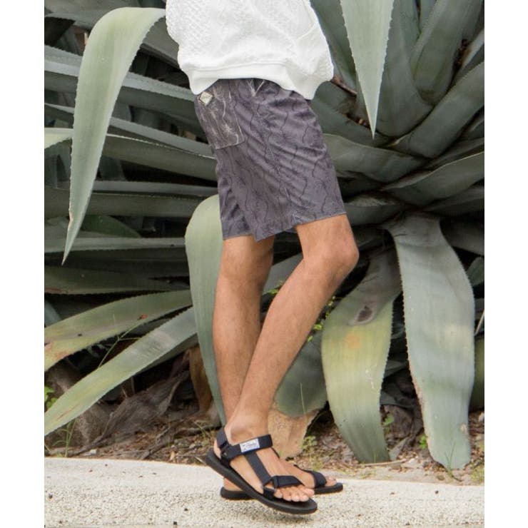 【カヒコ】アンダーセンメンズハーフパンツ【SURF&Palms】 | アミナコレクション | 詳細画像4 
