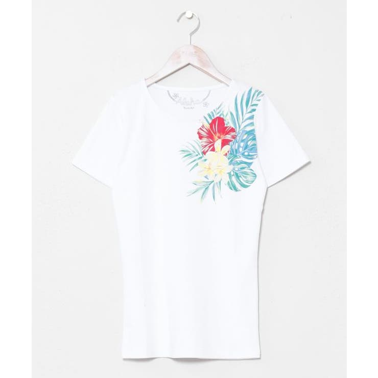 ホワイト | 【カヒコ】アラナフラＴシャツ | アミナコレクション 