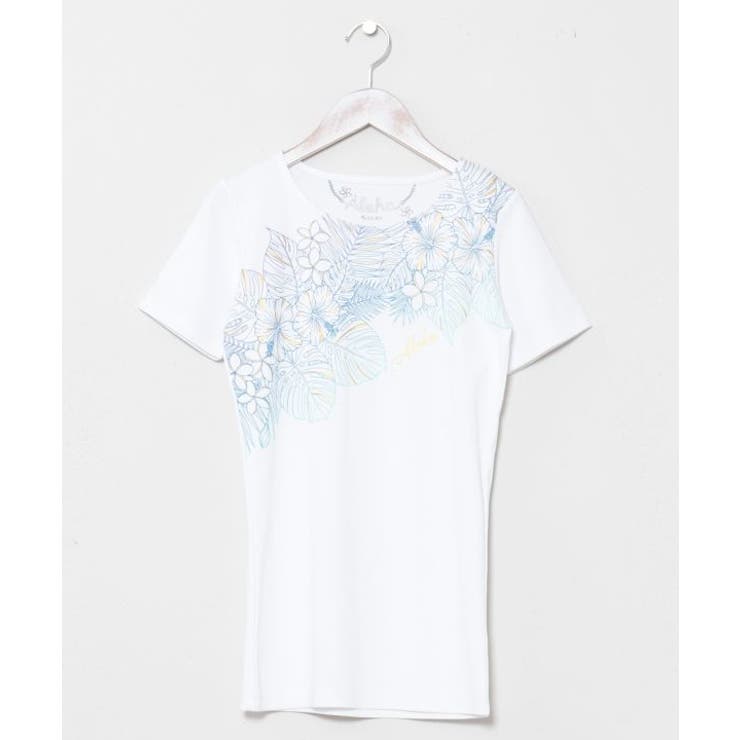 ホワイト | 【カヒコ】アロヒフラＴシャツ | アミナコレクション 