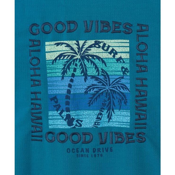 【カヒコ】カハルウメンズＴシャツ【SURF&Palms】 | アミナコレクション | 詳細画像10 