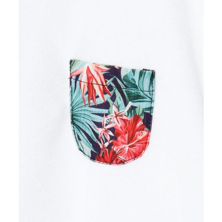 【カヒコ】アカラＴシャツ | アミナコレクション  | 詳細画像12 