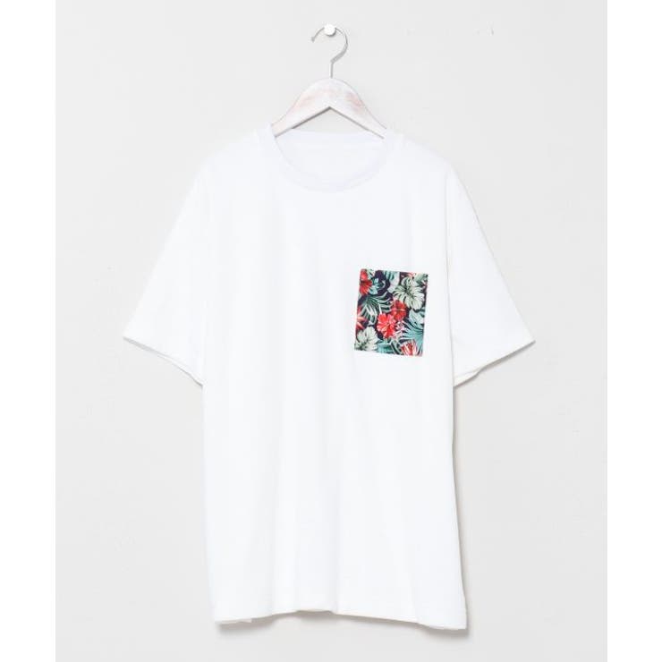 【カヒコ】アカラメンズＴシャツ | アミナコレクション  | 詳細画像4 