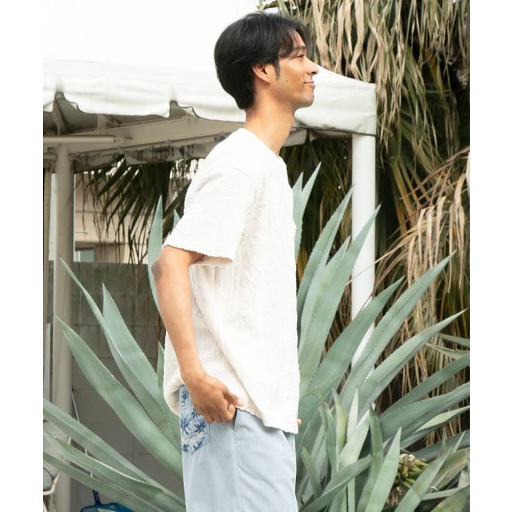 【カヒコ】ヒオラニメンズＴシャツ【SURF&Palms】 | アミナコレクション  | 詳細画像2 