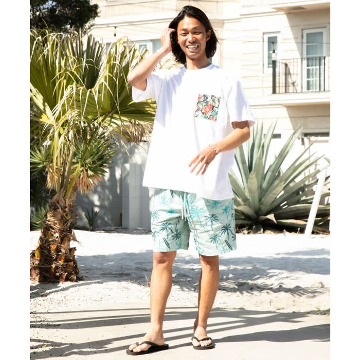 【カヒコ】アイナロアメンズハーフパンツ【SURF&Palms】 | アミナコレクション  | 詳細画像2 