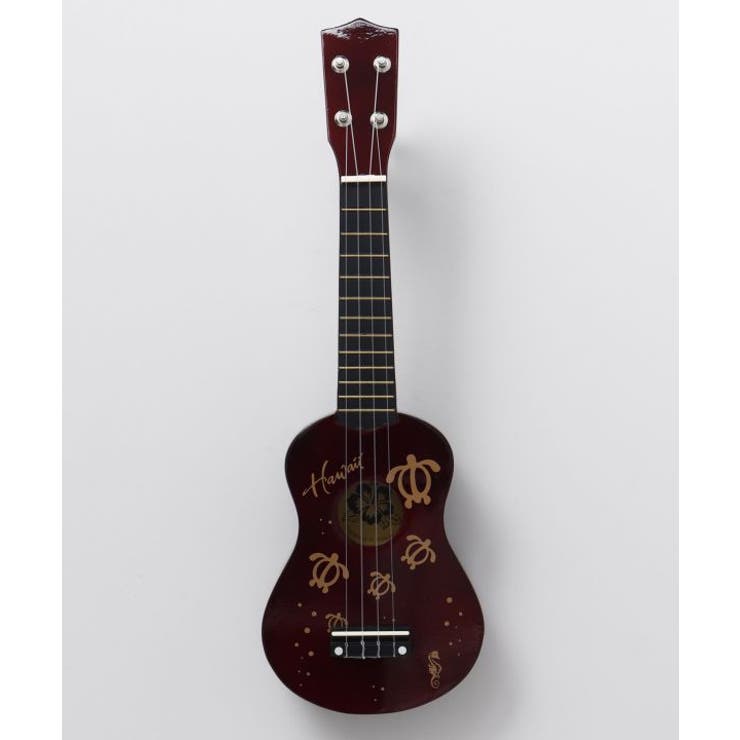 その他1 | 【カヒコ】ハワイアンウクレレ | アミナコレクション 