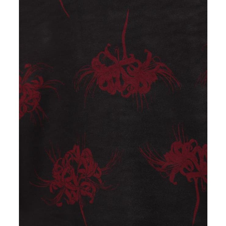 【カヤ】暗がりＴＯＰ | アミナコレクション  | 詳細画像22 