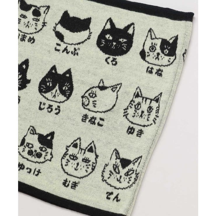【カヤ】猫のお名前腹巻き【Lサイズ】 | アミナコレクション  | 詳細画像1 
