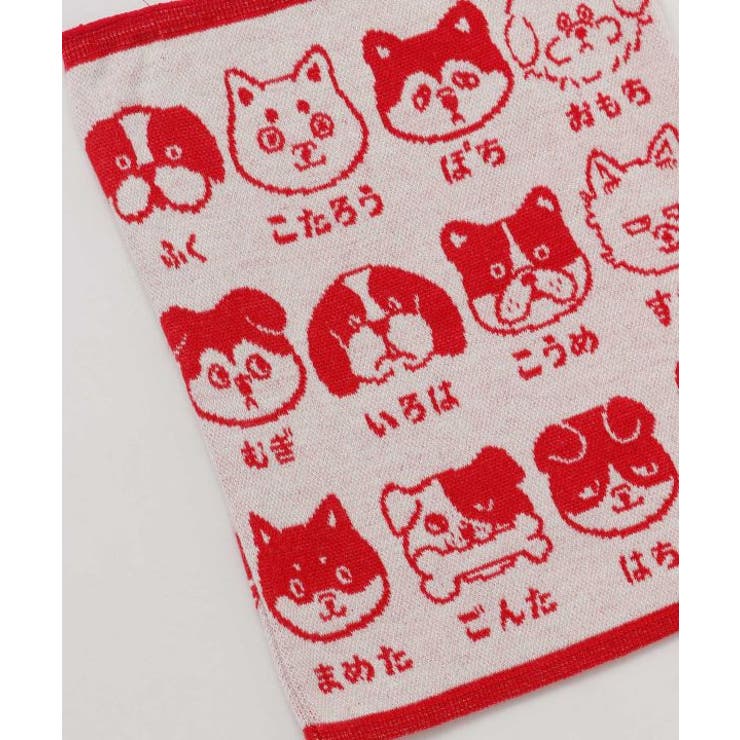 【カヤ】犬のお名前腹巻き【Mサイズ】 | アミナコレクション  | 詳細画像2 