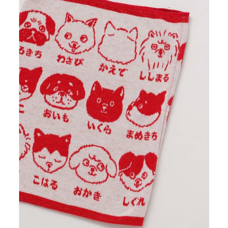 【カヤ】犬のお名前腹巻き【Mサイズ】 | アミナコレクション  | 詳細画像7 