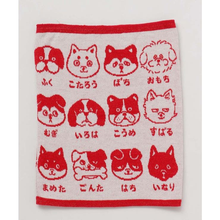 レッド | 【カヤ】犬のお名前腹巻き【Mサイズ】 | アミナコレクション 