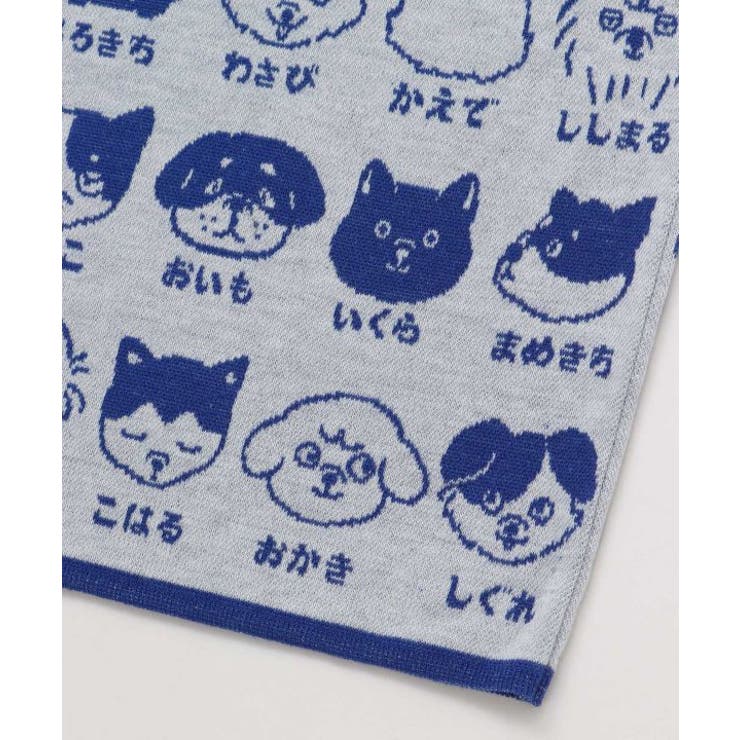 【カヤ】犬のお名前腹巻き【Ｌサイズ】 | アミナコレクション  | 詳細画像1 