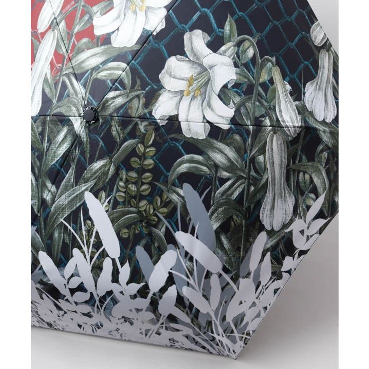 【カヤ】折りたたみ日傘《重宗玉緒×倭物やカヤ》 | アミナコレクション  | 詳細画像5 