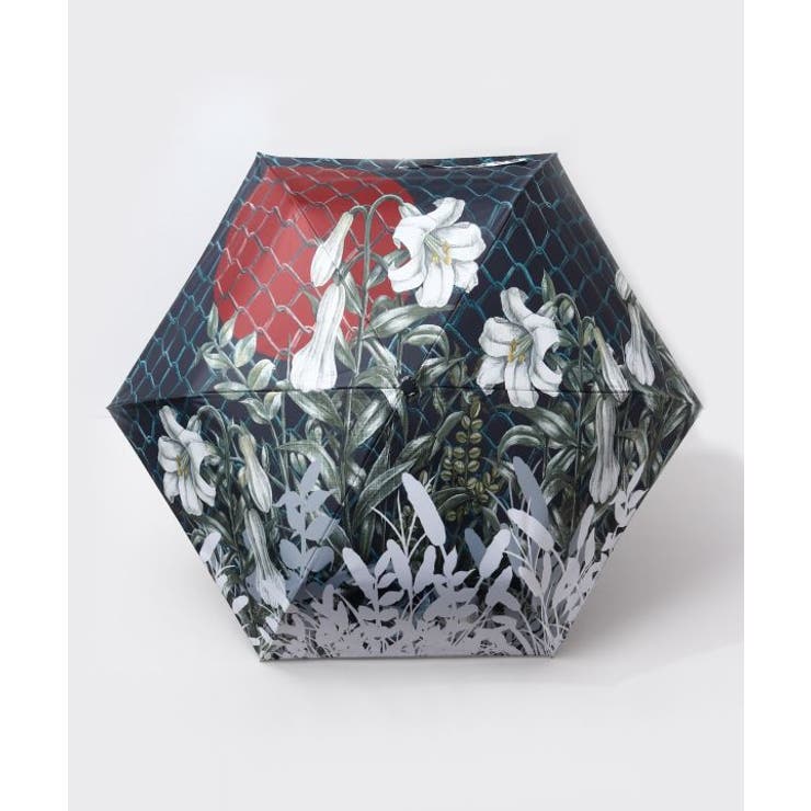 その他1 | 【カヤ】折りたたみ日傘《重宗玉緒×倭物やカヤ》 | アミナコレクション 